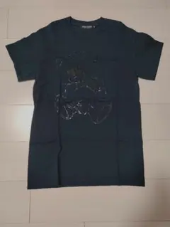 Item thumbnail for item 5b3a9953-550a-4678-824a-e6958b87b05c