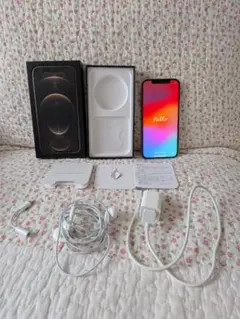 容量76％ シャッター音なし米国版 iPhone12Pro 256GB K232 - メルカリ