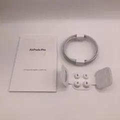 Apple AirPods Pro の交換用イヤーピースと充電ケーブル