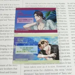 パラライ 真夏の幻影 特典 AMPRULE 2枚セット