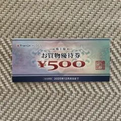 ヤマダ電機　お買い物優待券