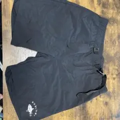 Item thumbnail for item 12d2bb03-64a6-4f78-b585-6c369eabc46a