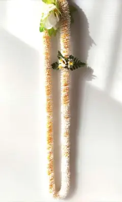 イリマロングレイ(ホワイトイエローコンビ)