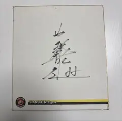 オリックス バファローズ 藤川 敦也 投手 直筆ミニサイン色紙 ドラフト