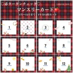 【FR2】赤タータンチェック♡マンスリーカード12ヶ月〈イベントver〉