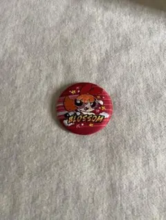 パワーパフガールズ 刺繍缶バッジ