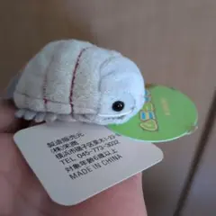 ダイオウグソクムシお手玉