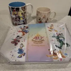ディズニーランド 40周年グランドフィナーレランチケース　マグカップセット