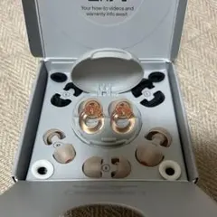 Item thumbnail for item 438c7246-a4dc-484b-88f6-8912116c1074