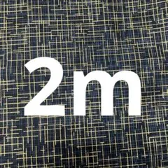 生地 幾何学 ゴールドライン 黒地