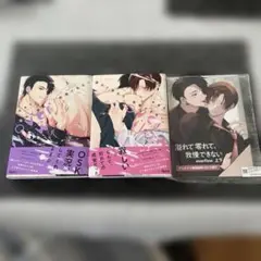 溢れて零れて、我慢できない overflow 上下 有償特典 12P小冊子付き