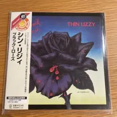 Item thumbnail for item 6aaad58d-1273-4ff1-8d30-24e8228b3833