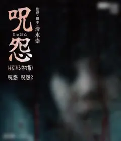 呪怨 4K:Vシネマ版 復刻版限定VHS付 - メルカリ