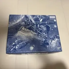 新品未開封】MG 1/100 スラッシュザクファントム イザーク専用機