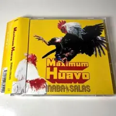 Maximum Huavo 初回盤CD＋Blu-ray 稲葉浩志　 イナバサラス