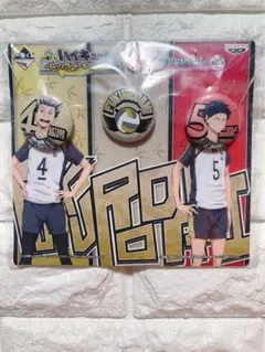 ハイキュー★木兎光太郎・赤葦京治★台紙付き缶バッジセット