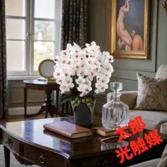 光触媒　人工観葉植物　フェイクグリーン　プレミアム胡蝶蘭5本立W/AB