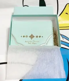 【ディズニーコレクション「アラジン」シリーズ】パスケース ミント❣️