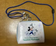 東京ディズニーリゾー25周年バケーションパッケージ　パスケース　ウォレット