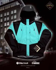 2026年最新】stabridge marmot alpinistの人気アイテム - メルカリ