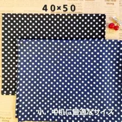 No.128-2 ランチョンマット40×50　2枚セット