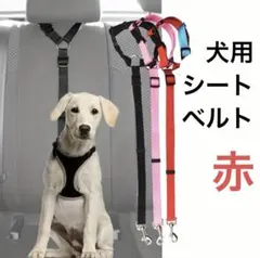 애견안전벨트 애완용품 자동차용품
