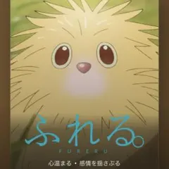 専用