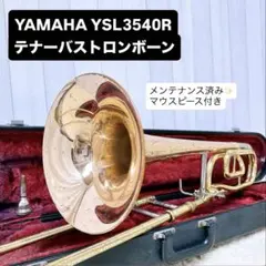 2026年最新】YSL 3540Rの人気アイテム - メルカリ