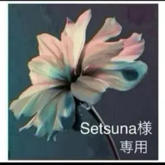 Setsuna様　専用