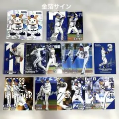 プロ野球チップスカード 横浜DeNAベイスターズ 17枚