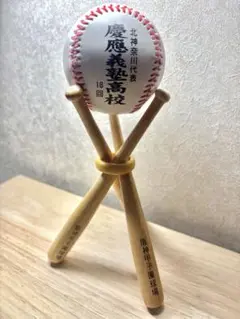 慶應義塾高校 第100回全国高校野球選手権大会出場記念ボール