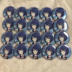 プロセカ　遥　グリッター缶バッジ　特典　30C