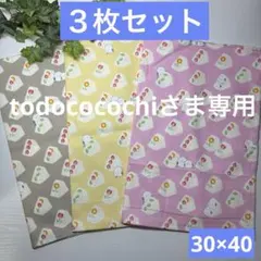 専用　３枚組★ランチョンマット★給食ナフキン★フルーツサンドシマエナガA