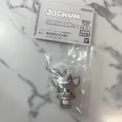 JO1 JOCHUM めじるしアクセサリー チュララ