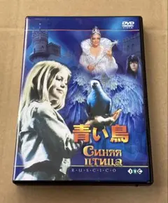 Item thumbnail for item 9ce374e0-dee9-46b7-b8a6-d8851219a181