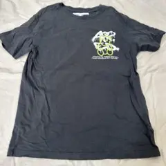 ZARA グレー Tシャツ 9-10歳