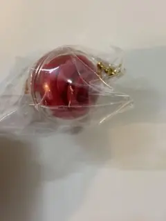 三代目 今市隆二 KINGDOM 会場ガチ 赤バラ