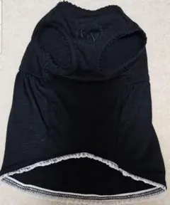 Item thumbnail for item 925da16a-7cb6-462d-bef3-525acc27f142