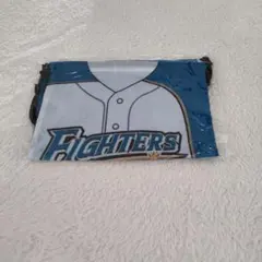 Item thumbnail for item 8061245e-9f22-4775-b8e6-d4467a4ef275