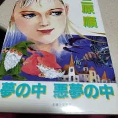夢の中 悪夢の中 三原順