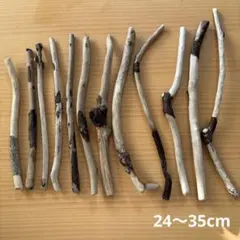流木 12本セット 24〜35cm 太さ0.8〜1.5cm 工作素材　樹皮