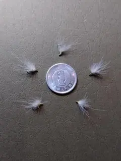 Item thumbnail for item 8f5a2e94-dc47-49e2-b93e-871e8d19787a