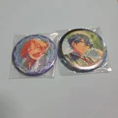 あんスタ 缶バッジ 2点セット 月永レオ 瀬名泉