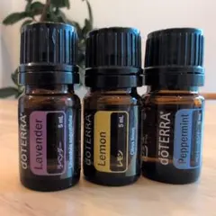 【❗️誤開封 未使用 最安】ドテラ ペパーミント 15ml ３本 期限25.12 Amazon.co.jp: dōTERRA[ドテラ] ペパーミント [15ml] : ドラッグ