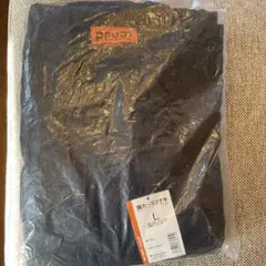 Item thumbnail for item 32ab0224-42cf-4e80-b0ed-8a6428c7fde3