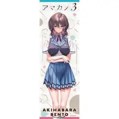 アマカノ3』 鴻さゆみ AKIHABARABENTO のぼり - メルカリ