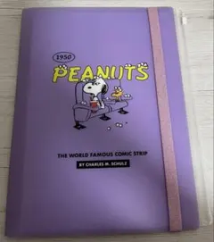 PEANUTS スヌーピー クリアファイル バンド付き