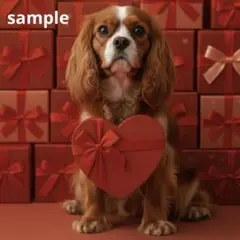 【期間限定】[140中]キャバリア　犬　バレンタインステッカー