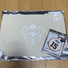 巨人　ジャイアンツ　オータムくじ　刺繍キーリング　15 大勢　2セット