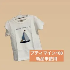 プティマイン100 新品未使用のサムネイル